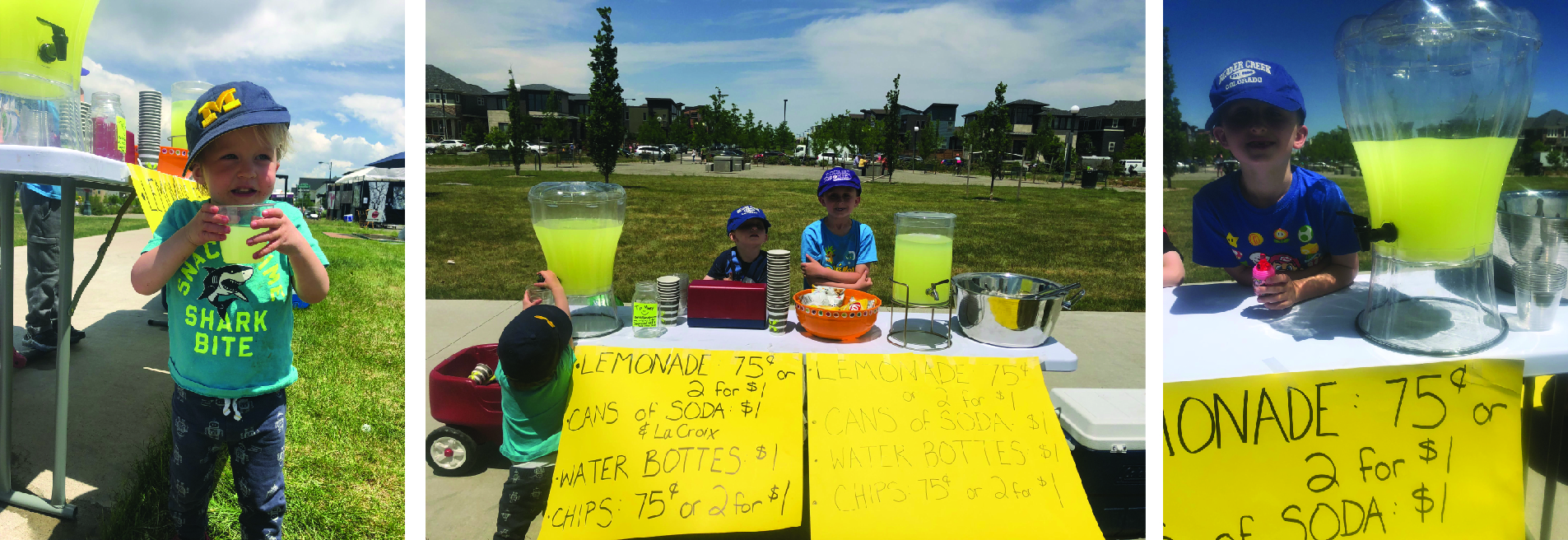 Take a Stand for Lemonade Stands