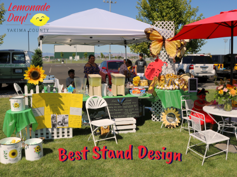 Best Unique Design Lemonade Stand Winner 2022
